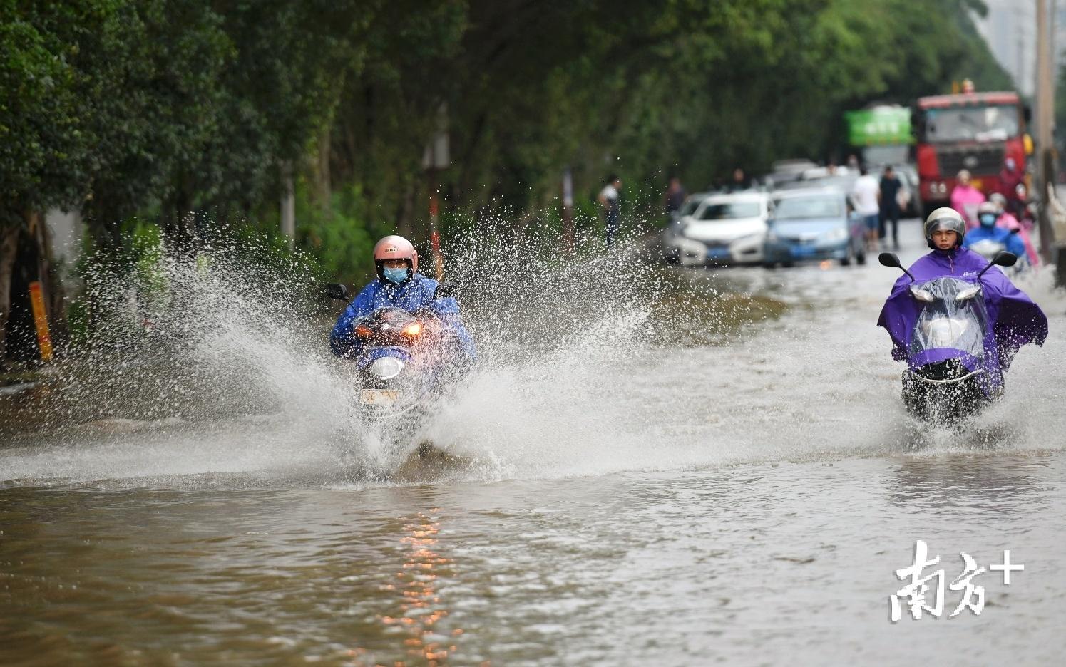 清遠(yuǎn)華僑農(nóng)場最新動態(tài)更新