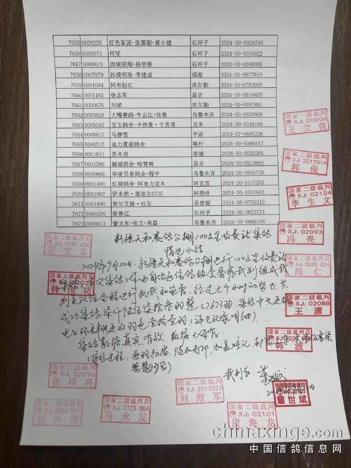 新疆賽鴿公棚最新公告揭秘，小巷特色小店與未知奇妙世界的探索！